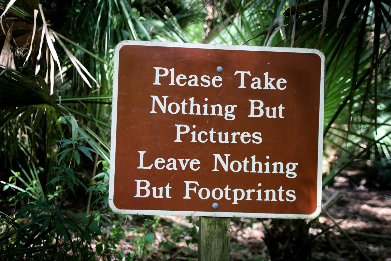 photo: please take nothing but picture, leave nothing but footsteps
